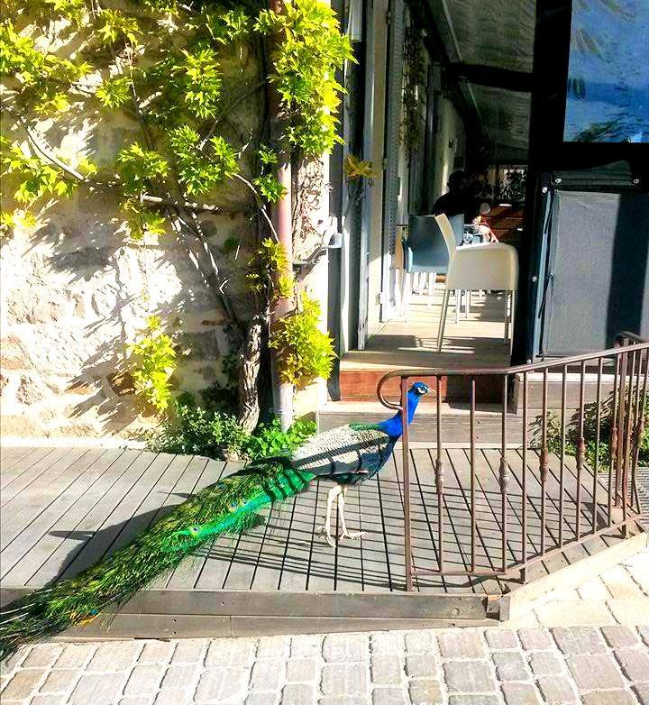 ホテル Bロッジ サントロペ エクステリア 写真